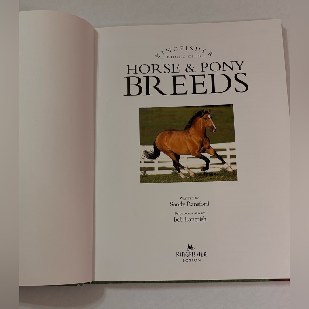 Kingfisher Riding Club Horse & Pony Breeds Book - Picture 4 of 9